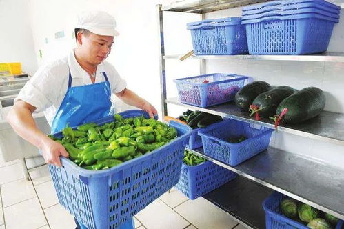 線上訂餐,信息精準(zhǔn)化 大唐智訊智慧食堂保障團(tuán)體就餐安全